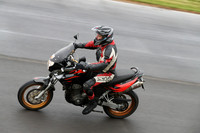 Fowlers 0670
