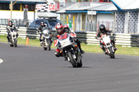 Fowlers 0015