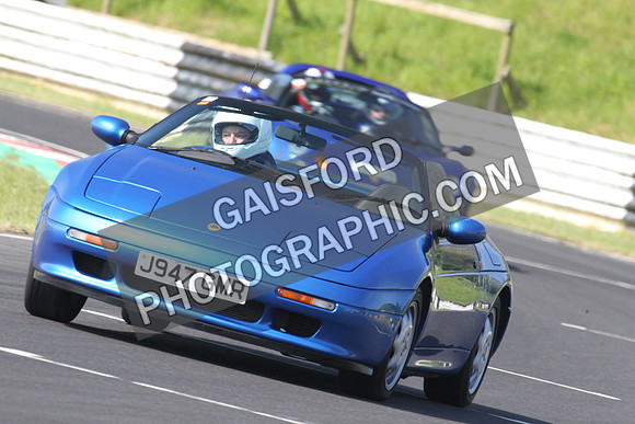 Lotus 0165