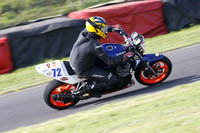 Fowlers 0890