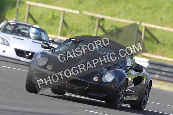 Lotus 0081