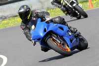 Fowlers 0720