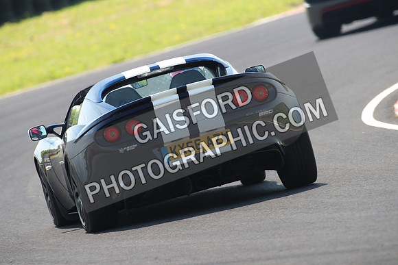 Lotus 0797