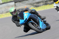 Fowlers 0404