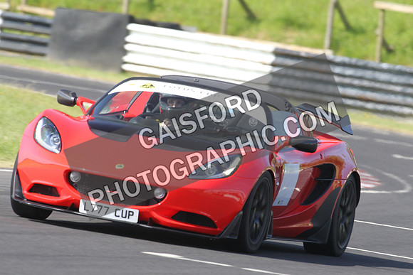 Lotus 0245