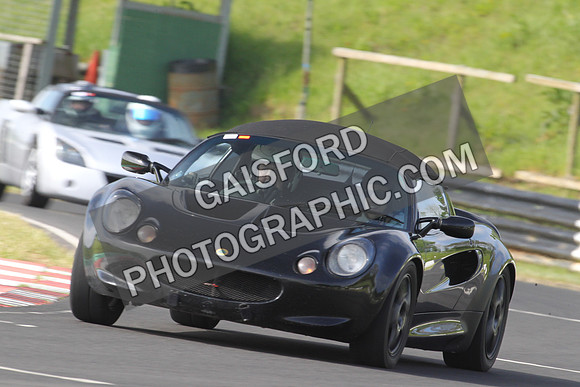 Lotus 0065