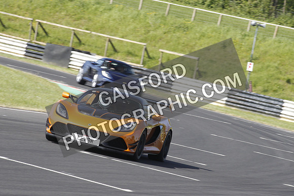 Lotus 0138