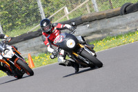 Fowlers 0797