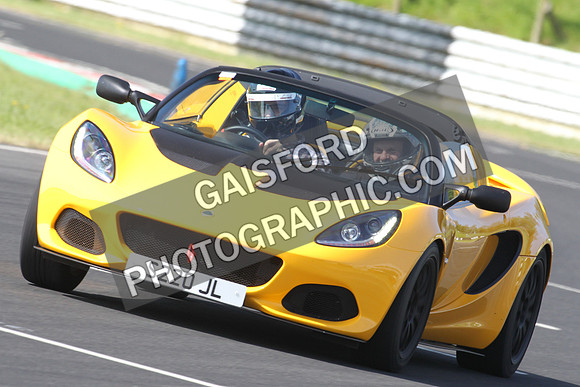 Lotus 0258