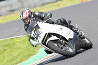 Fowlers 0590