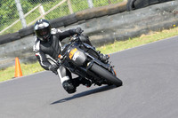 Fowlers 0599