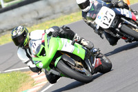 Fowlers 0475