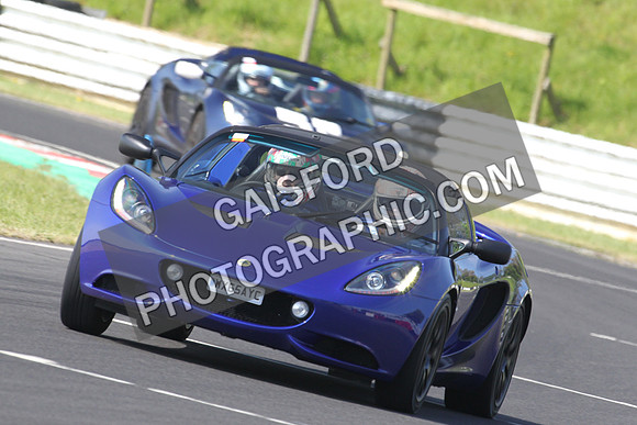 Lotus 0272