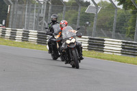 Triumph Black