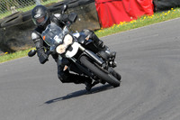 Fowlers 0792
