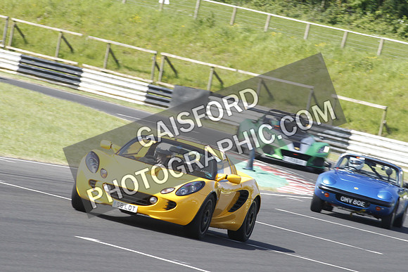 Lotus 0355