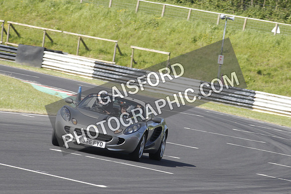 Lotus 0134