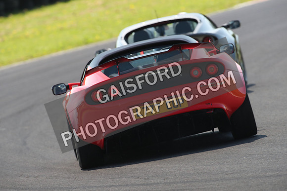 Lotus 0731