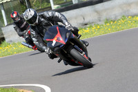 Fowlers 0725