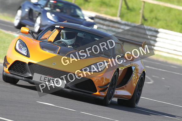 Lotus 0160