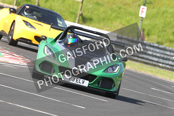 Lotus 0381