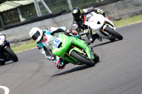 Fowlers 0763