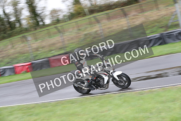 BIKES 0293