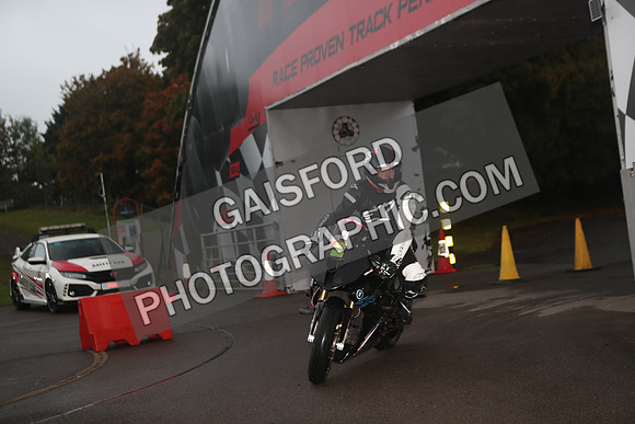 BIKES 0081