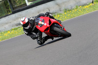 Fowlers 0625