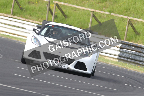 Lotus 0031
