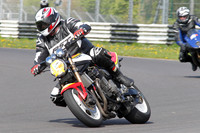 Fowlers 0440