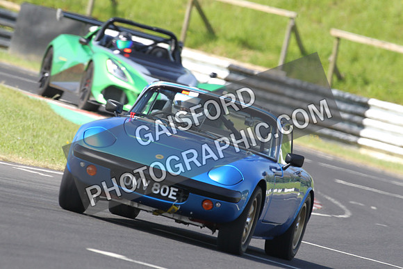 Lotus 0379