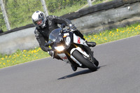 Fowlers 0730