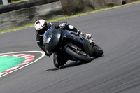 Fowlers 0990