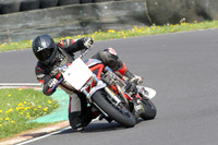 Fowlers 0385