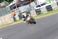 Fowlers 0695
