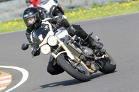 Fowlers 0401