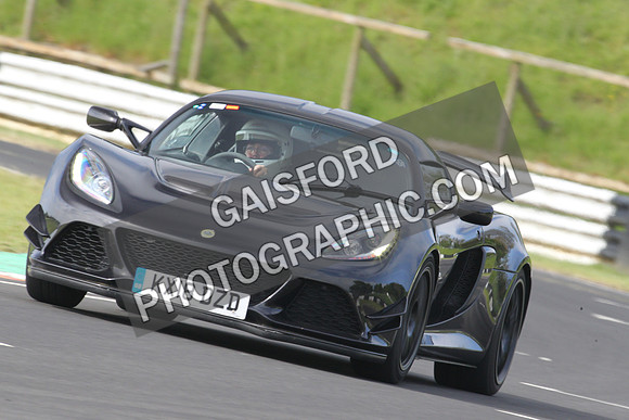 Lotus 0039