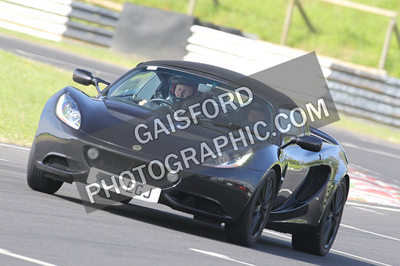 Lotus 0090