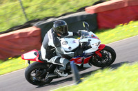Fowlers 0982