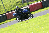 Fowlers 0885