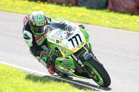 Fowlers 0946