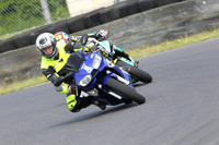 Fowlers 0495
