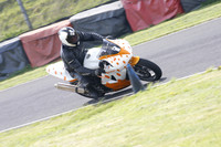 Fowlers 0974