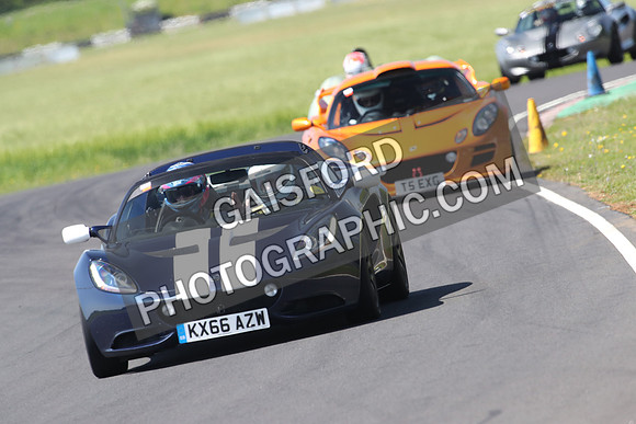 Lotus 0795