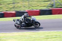 Fowlers 0391