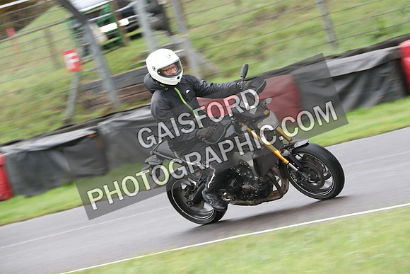 BIKES 0229