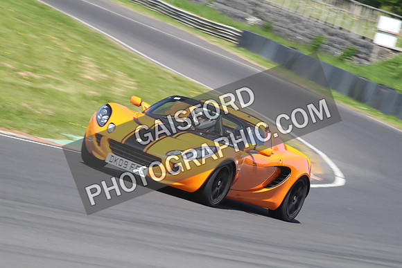 Lotus 2335