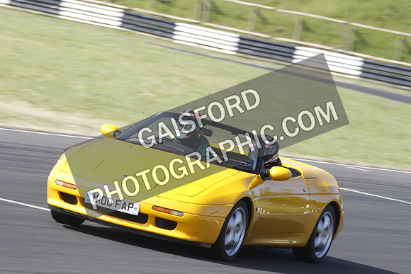 Lotus 0108