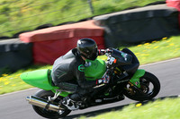Fowlers 0874